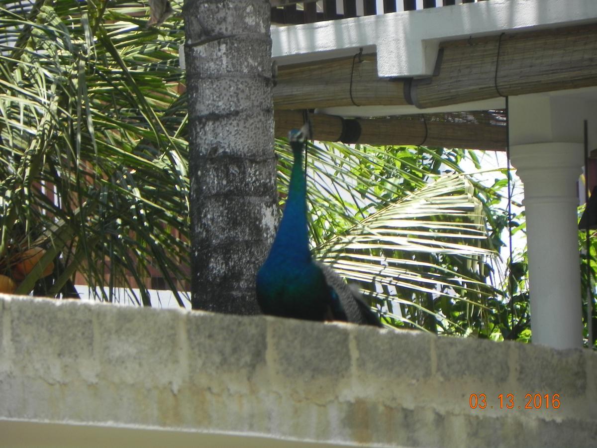 Rainbowswell Beach Resort Unawatuna Esterno foto